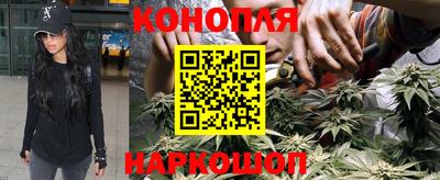 стафф Уссурийск