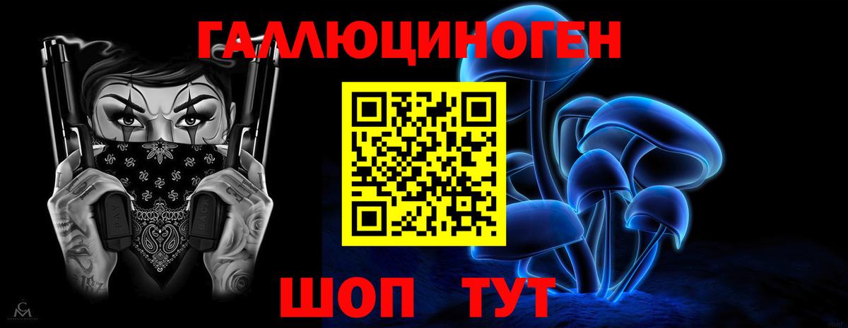 Псилоцибиновые грибы Psilocybe Мирный